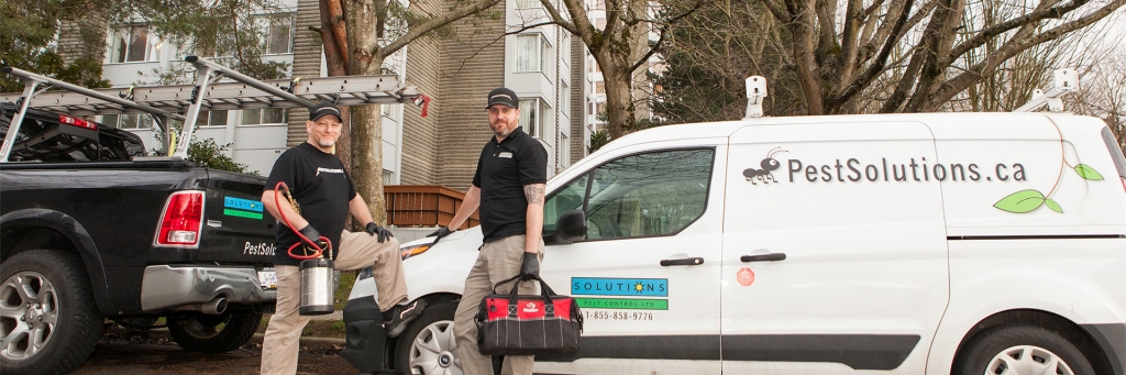 Pest Control vancouver service tech gearing up from their trucks