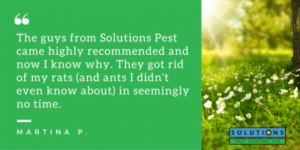 surrey pest control services testimonial