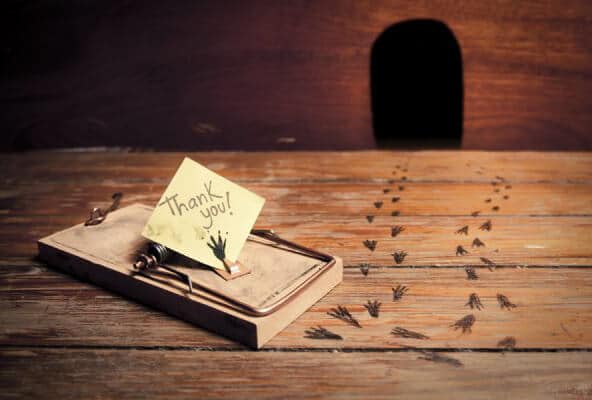 Rodent Control in North Vancouver|