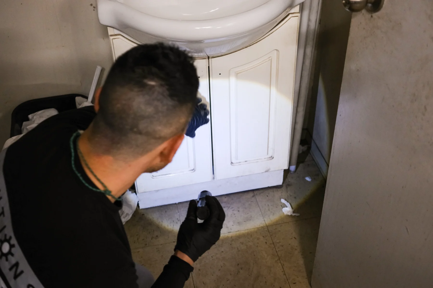 Pest Control Services For Businesses And Homes Vancouver