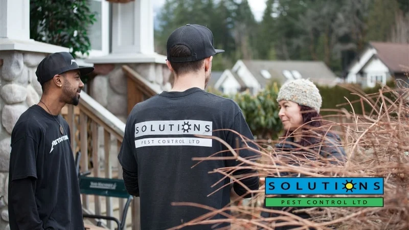 Pest Information from Solutions Pest Control
